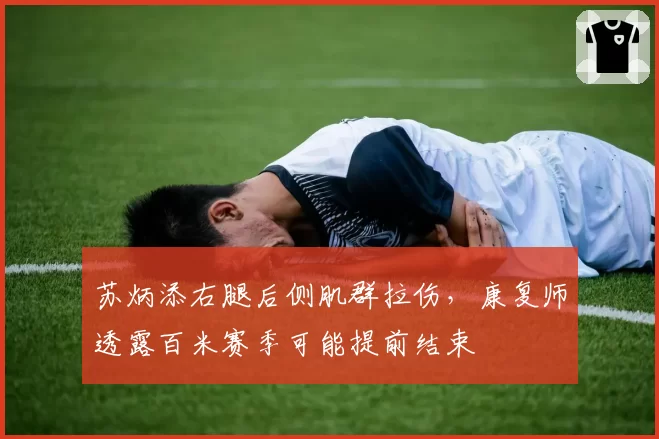 苏炳添右腿后侧肌群拉伤，康复师透露百米赛季可能提前结束