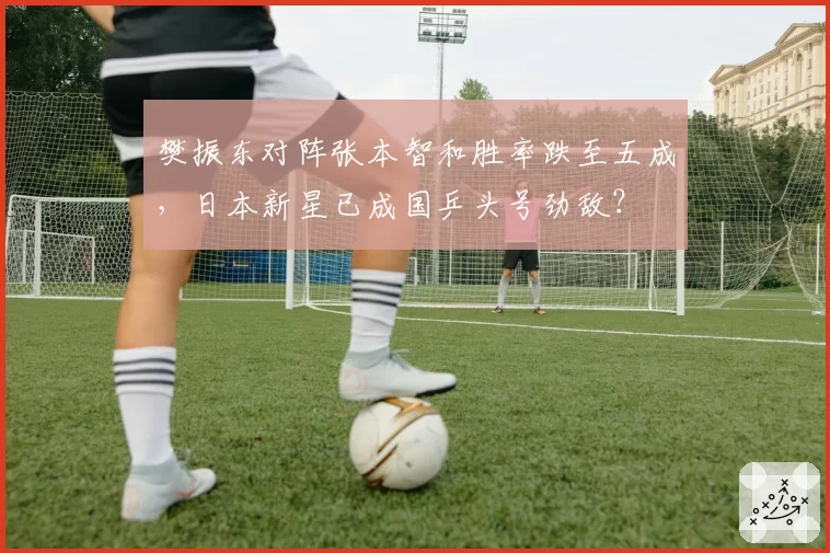 樊振东对阵张本智和胜率跌至五成，日本新星已成国乒头号劲敌？