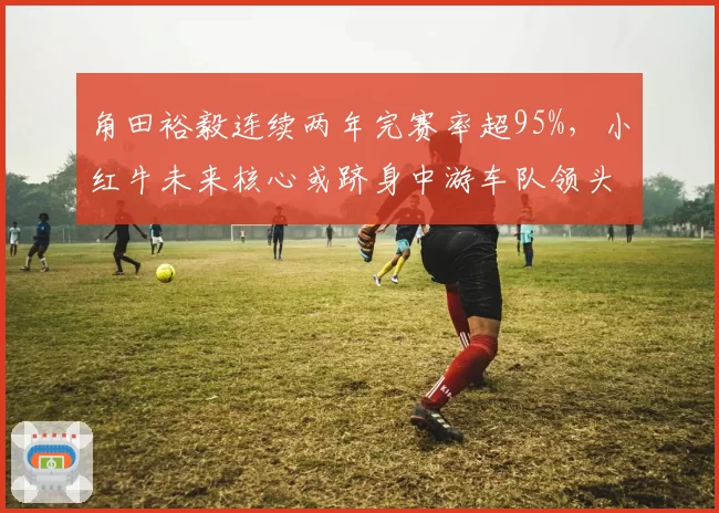 角田裕毅连续两年完赛率超95%，小红牛未来核心或跻身中游车队领头羊