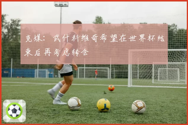 克媒:武什科维奇希望在世界杯结束后再考虑转会