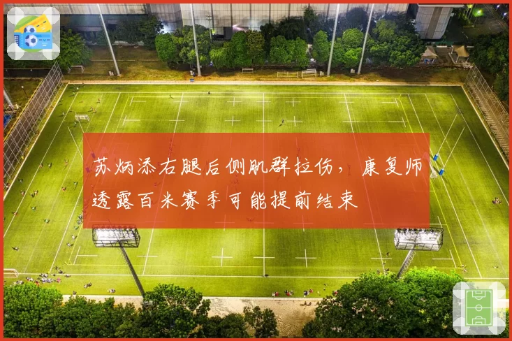 苏炳添右腿后侧肌群拉伤，康复师透露百米赛季可能提前结束