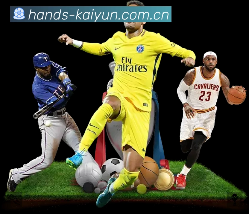 安全使用与支持流程